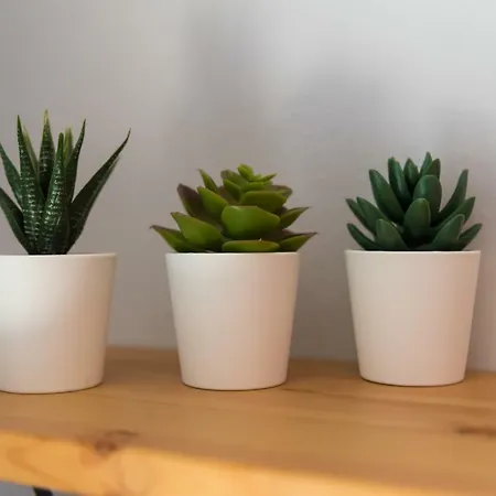 Apartman Unico Lefkáda
